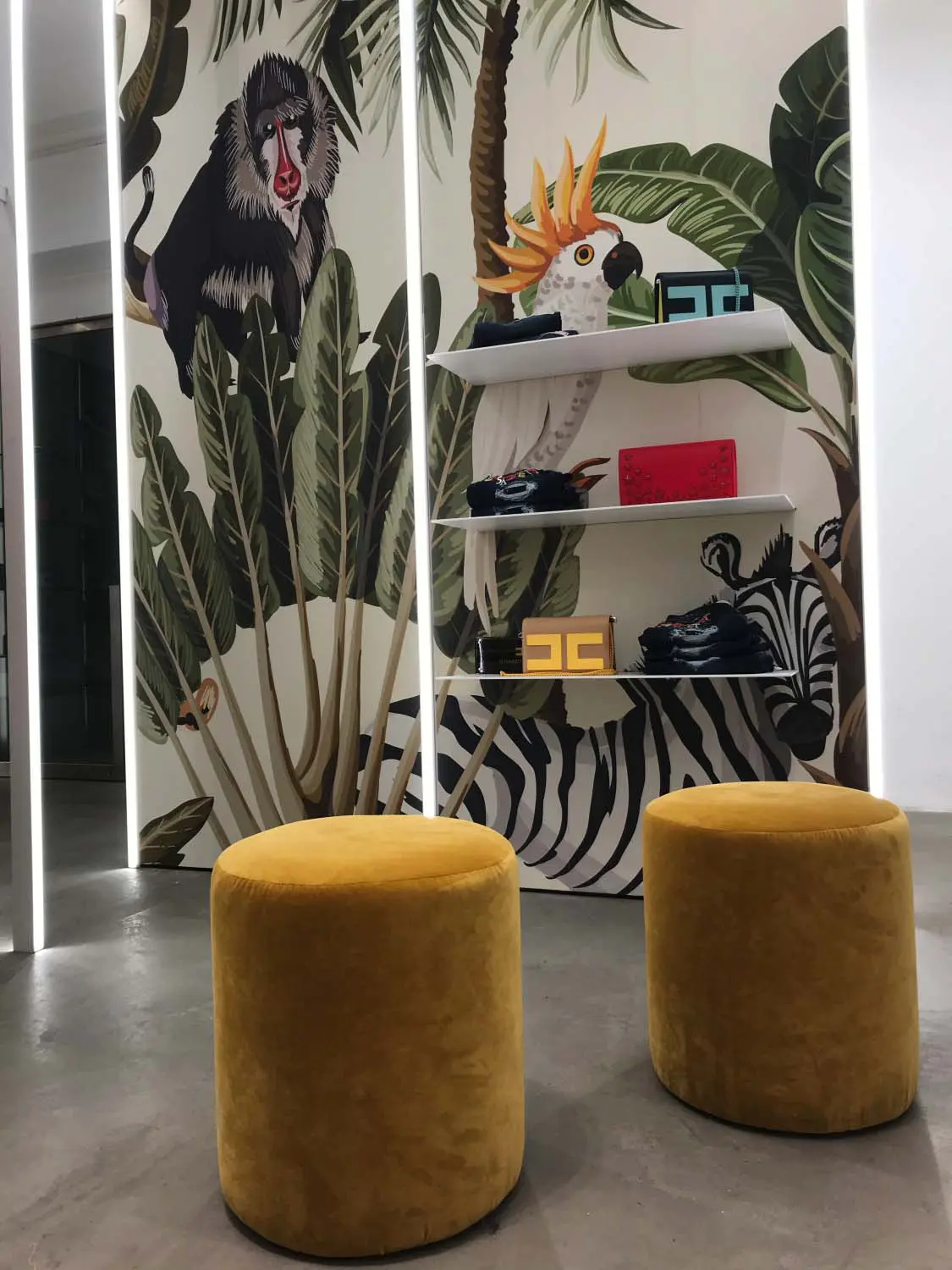 Mori - Interno Negozio