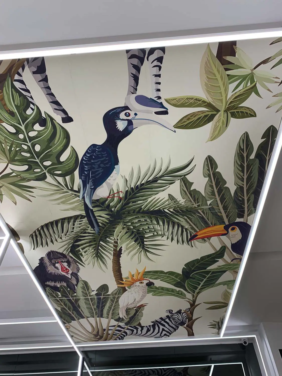 Mori - Interno Negozio