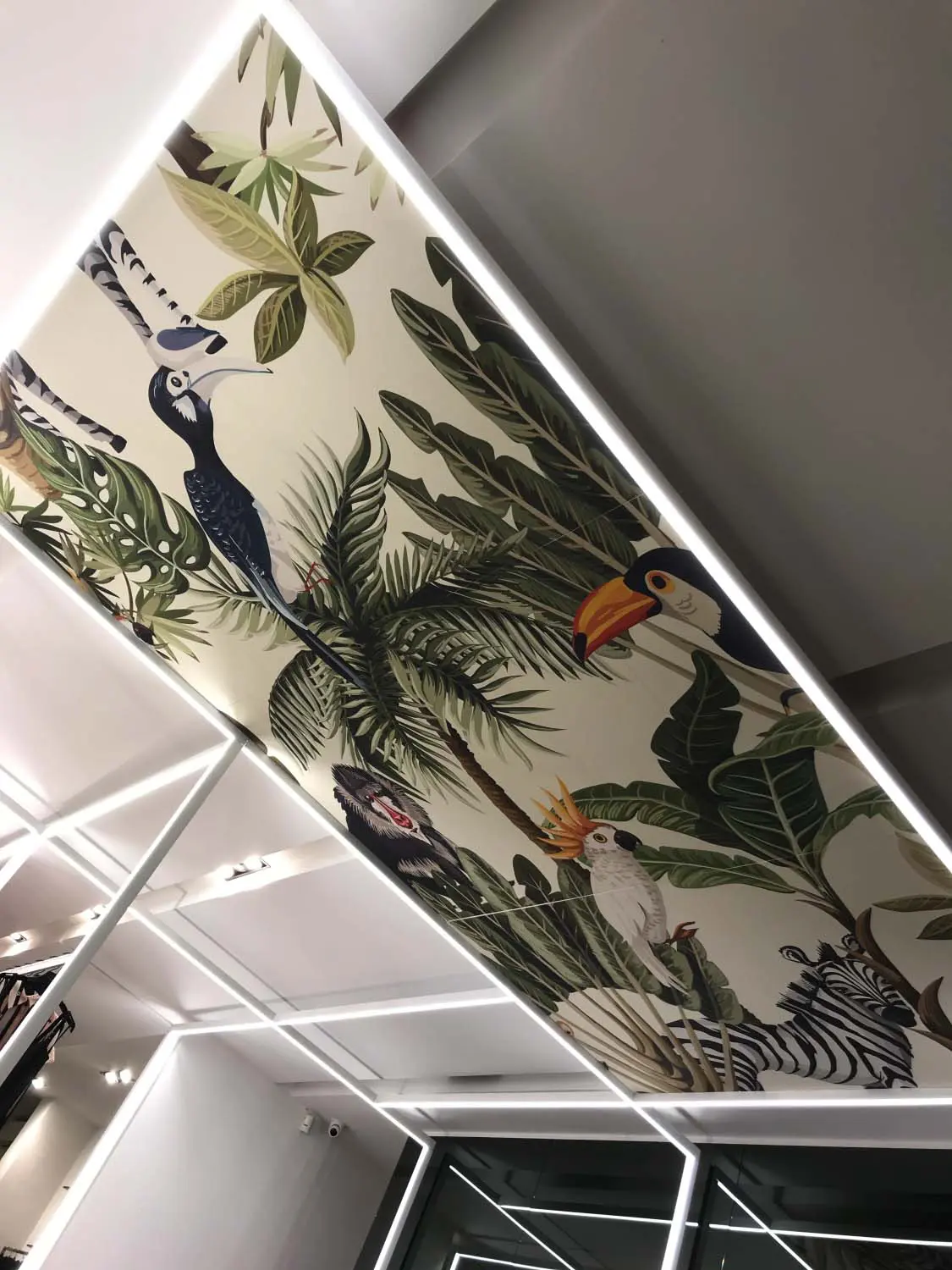 Mori - Interno Negozio