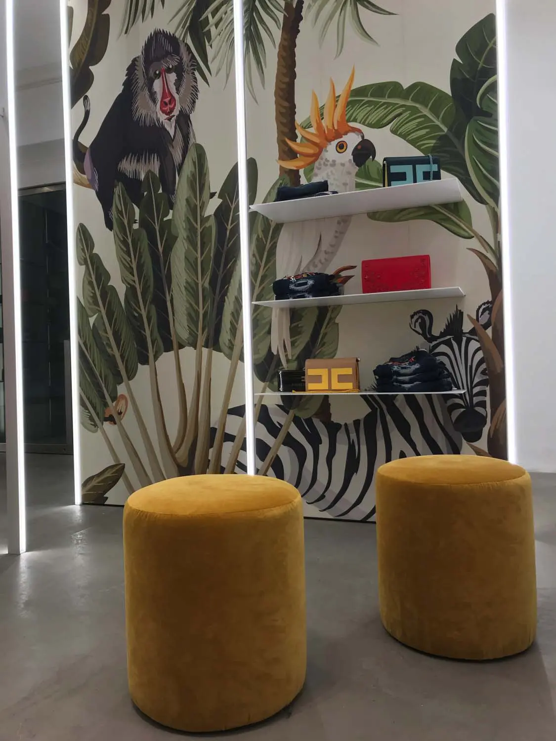 Mori - Interno Negozio