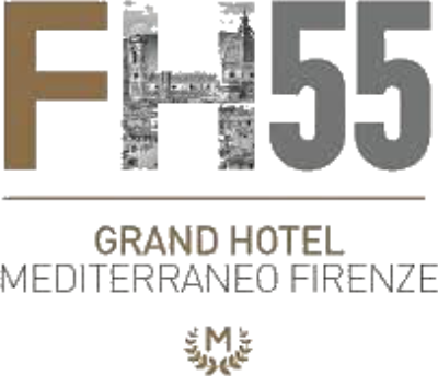 fh55-mediterraneo-firenze