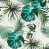 Palm