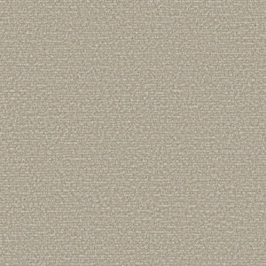 Plain