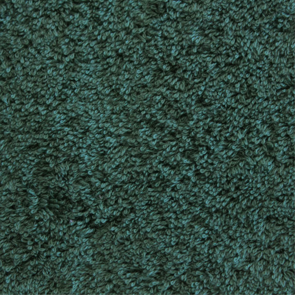 6017sp-new