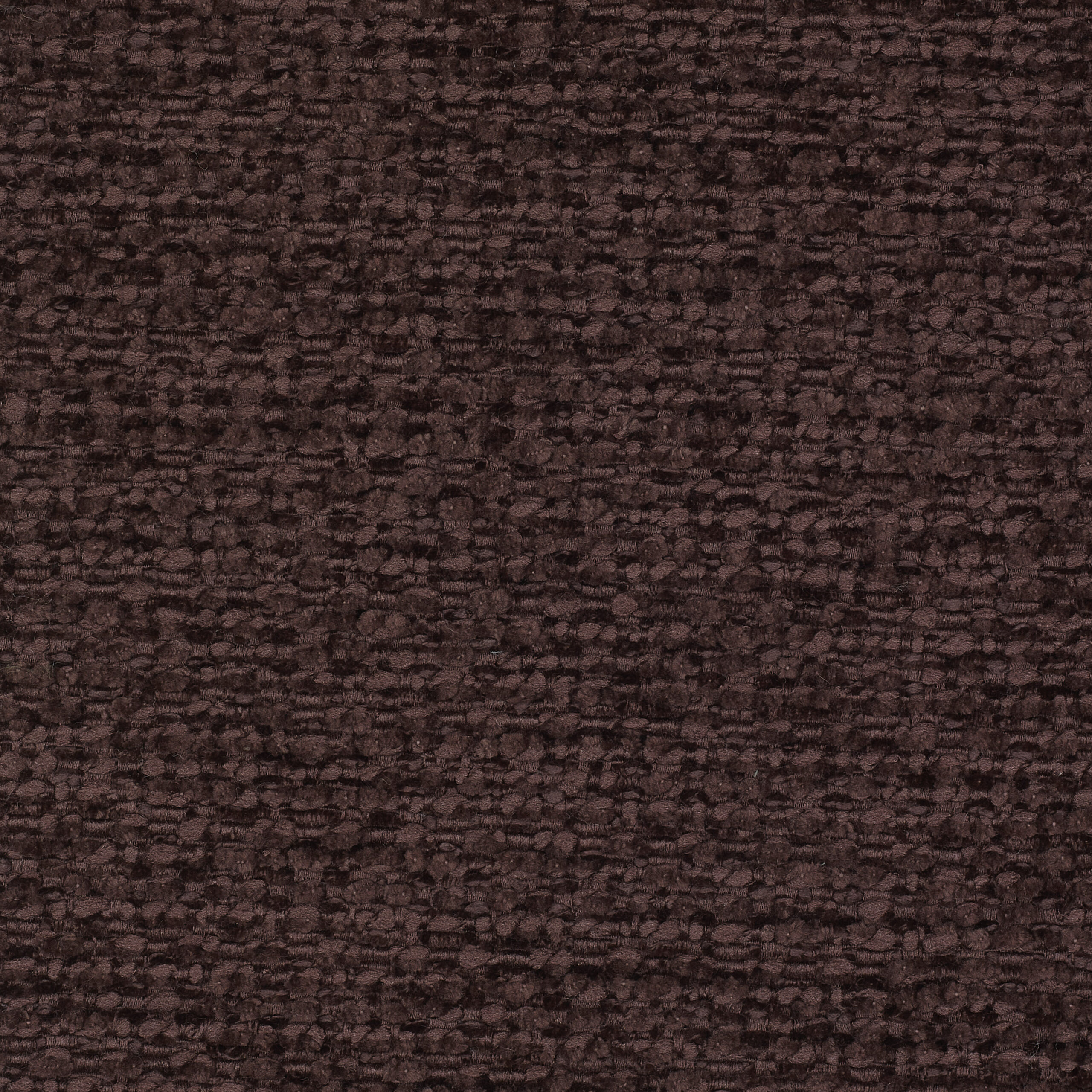 Ursa - Image 2
